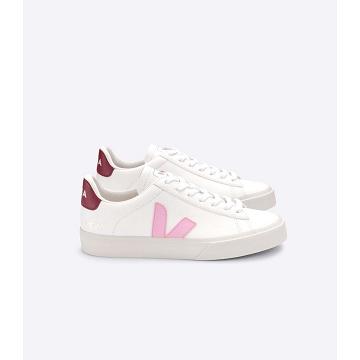 Veja CAMPO CHROMEFREE Low Tops Sneakers Heren White/Pink | BE 193WNB